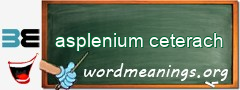 WordMeaning blackboard for asplenium ceterach